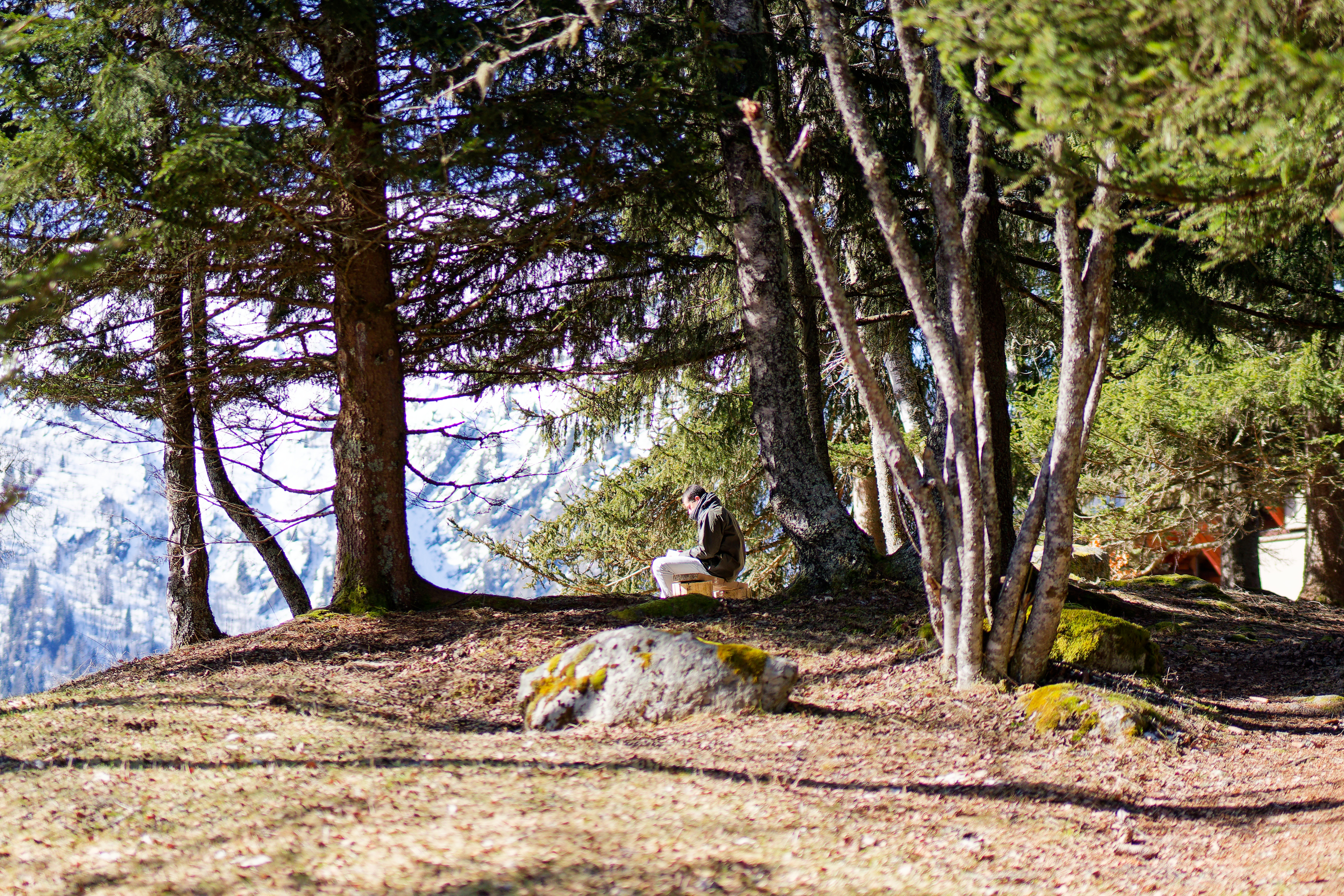 Personne en méditation dans la forêt face aux montagnes